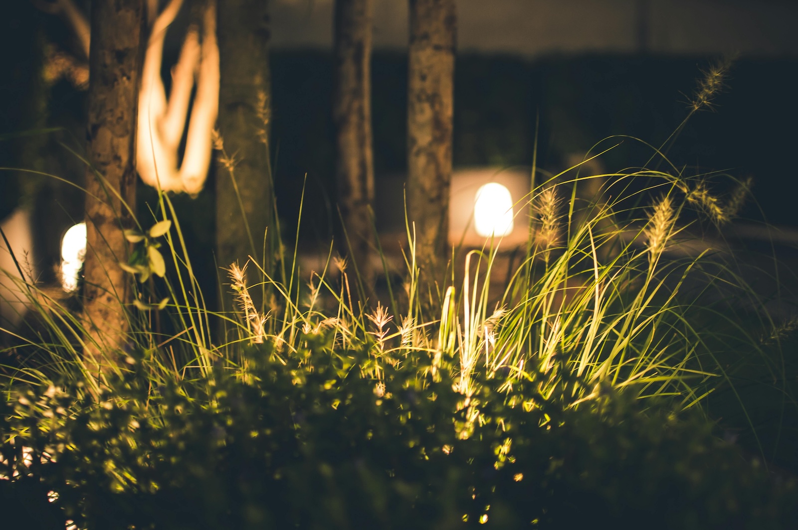 Moderne LED-Außenbeleuchtung entlang eines Gartenwegs – gezielte Lichtverteilung für Orientierung und Sicherheit