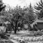 Gartenhaus auf Grundstück mit Bäumen und Gemüsegarten im ländlichen Bereich