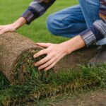Hände prüfen Rasenqualität beim Rollrasen verlegen im Garten